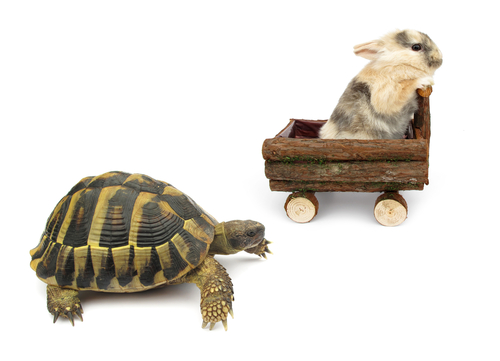 Parkinsonās and Huntingtonās cause different patterns of movement problems, but involve damage to similar brain regions