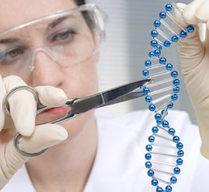 Genome editing uses special molecular scissors to cut DNA in cells at exact places. Then new DNA is spliced in at the cut site.