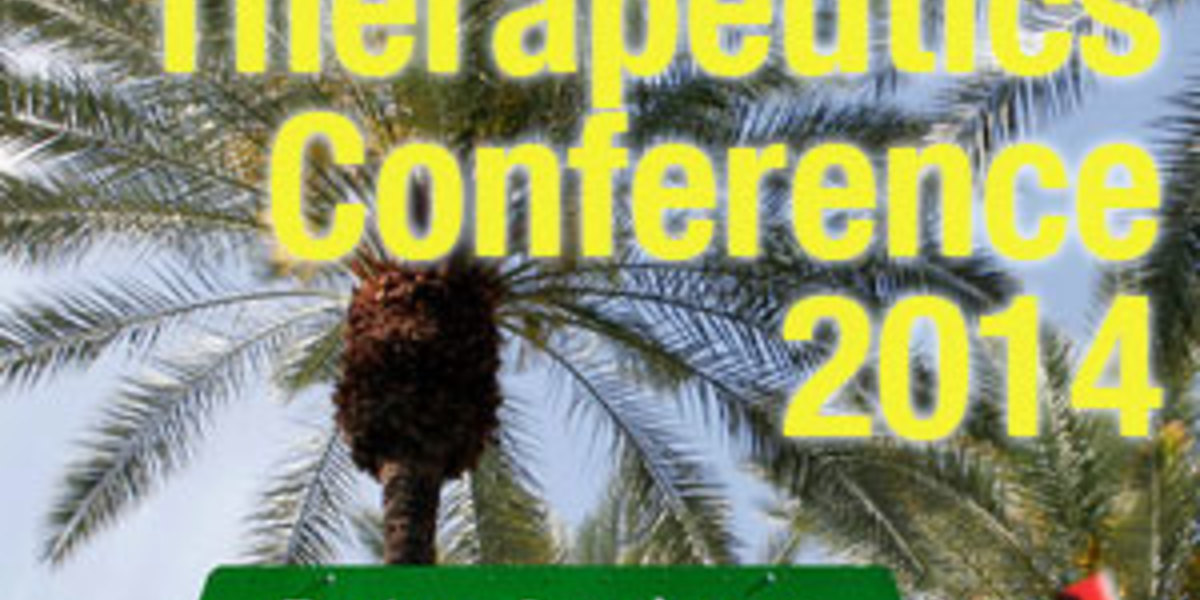 Terapikonferansen 2014: dag 1