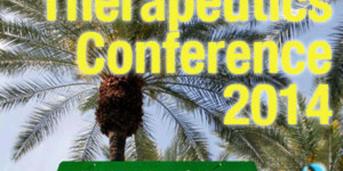 Terapikonferansen 2014: dag 2
