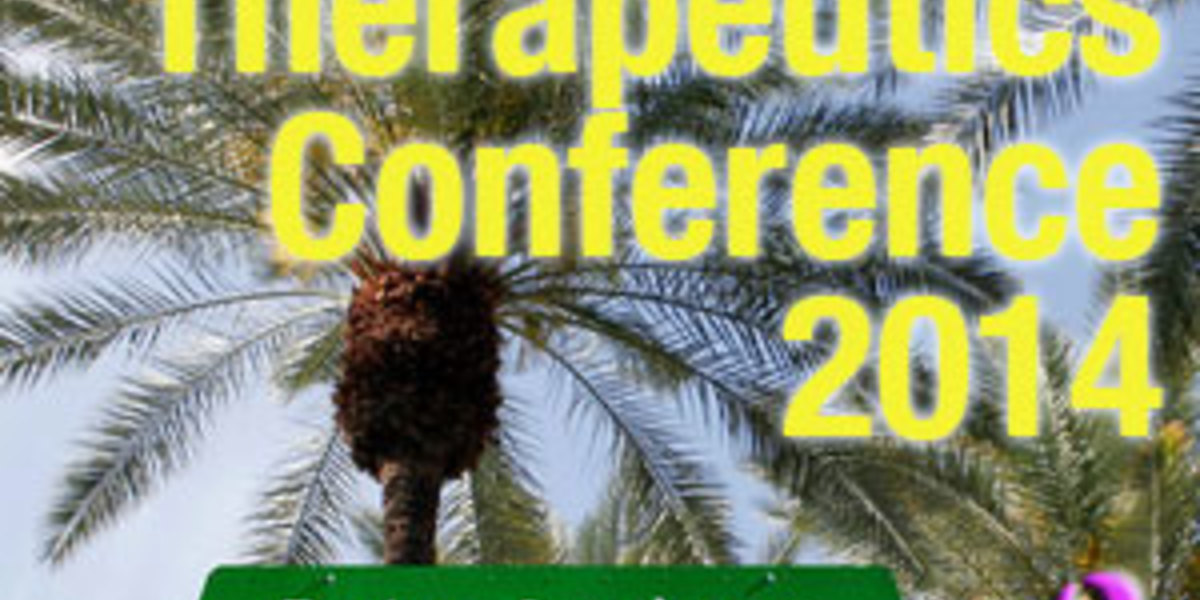 Terapikonferansen 2014: day 3